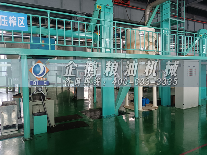 企鵝牌茶籽油雙螺桿榨油機，用心制造獲得客戶認(rèn)可(圖3)