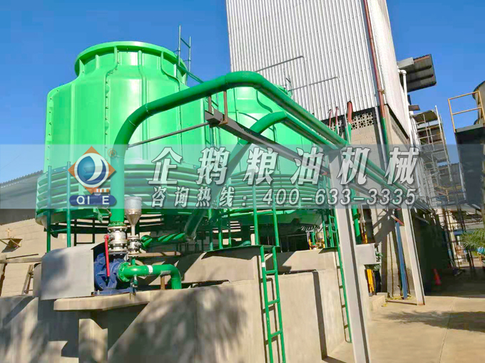 如何投資建設(shè)棕櫚油加工廠？企鵝糧油機(jī)械在線為您答疑解惑(圖3)